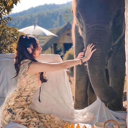 3 Pok Maewang Jinxiang Gold Elephant Park Mae Wang Luaran gambar