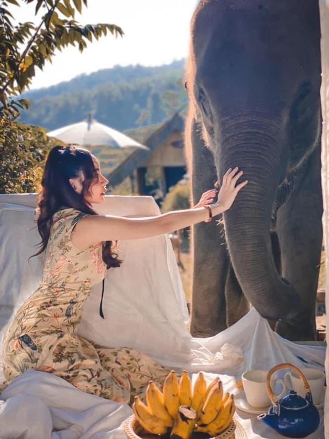 3 Pok Maewang Jinxiang Gold Elephant Park Mae Wang Luaran gambar