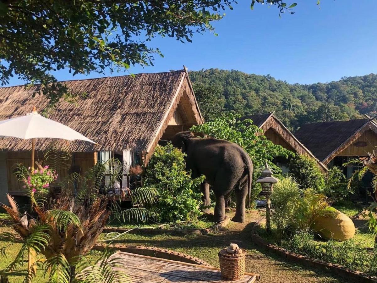 3 Pok Maewang Jinxiang Gold Elephant Park Mae Wang Luaran gambar