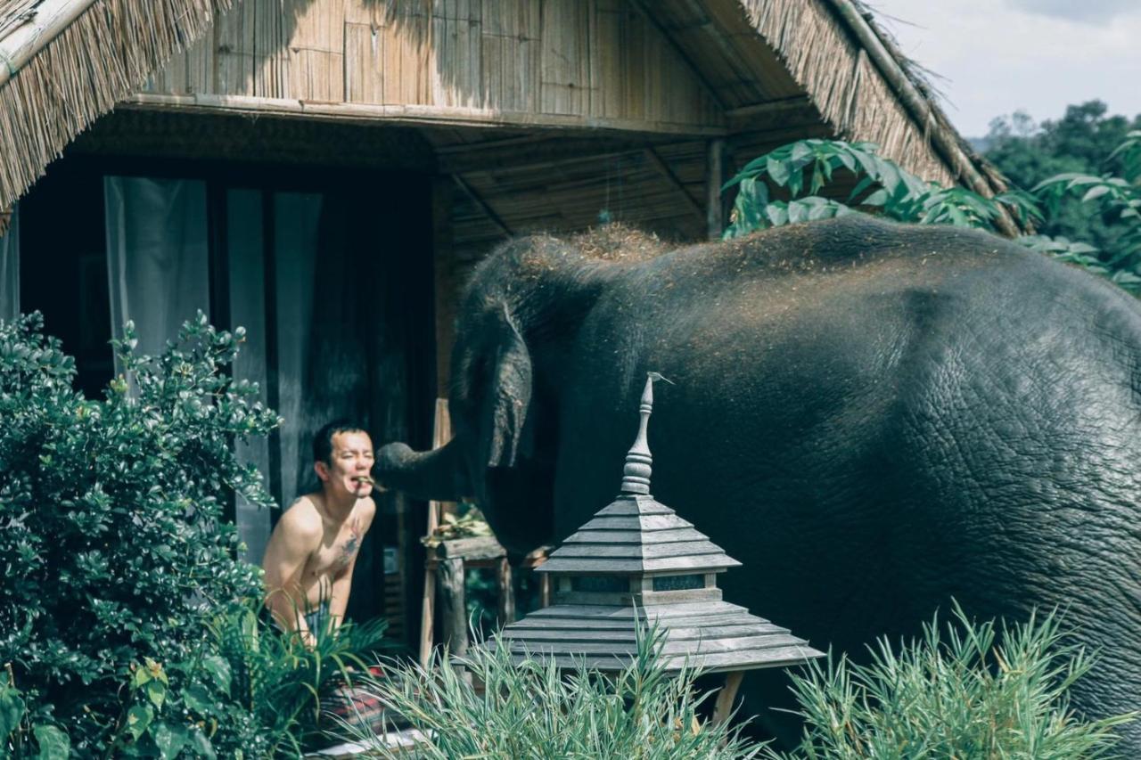 3 Pok Maewang Jinxiang Gold Elephant Park Mae Wang Luaran gambar