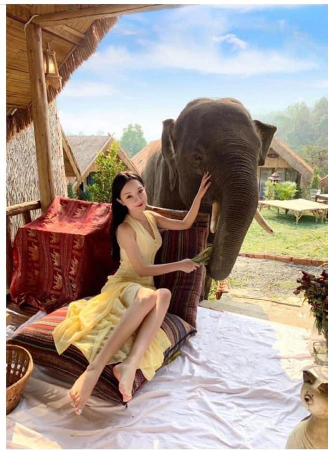 3 Pok Maewang Jinxiang Gold Elephant Park Mae Wang Luaran gambar