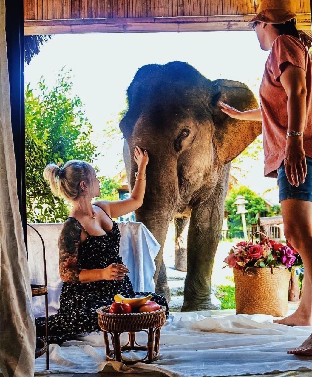 3 Pok Maewang Jinxiang Gold Elephant Park Mae Wang Luaran gambar
