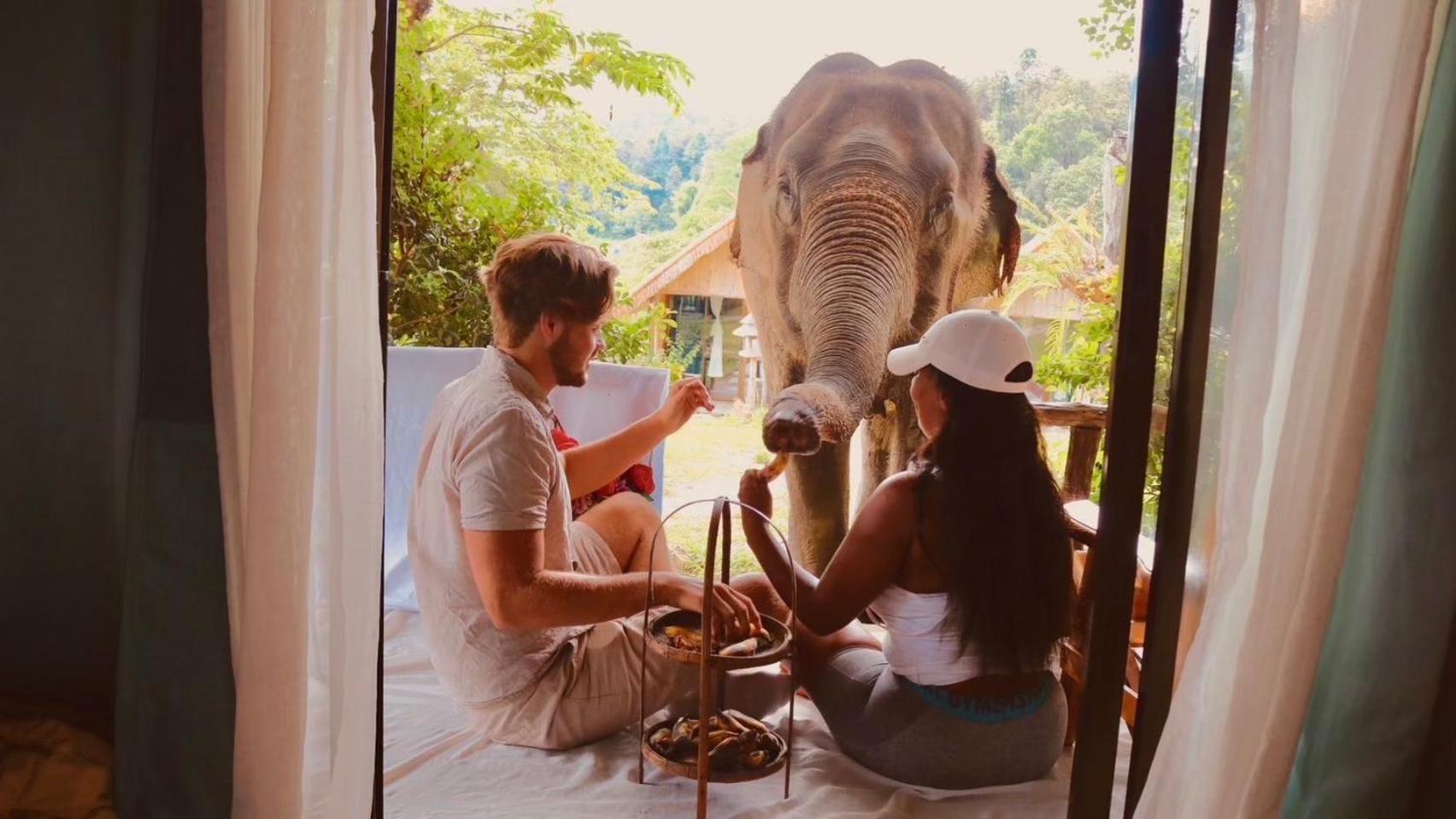 3 Pok Maewang Jinxiang Gold Elephant Park Mae Wang Luaran gambar