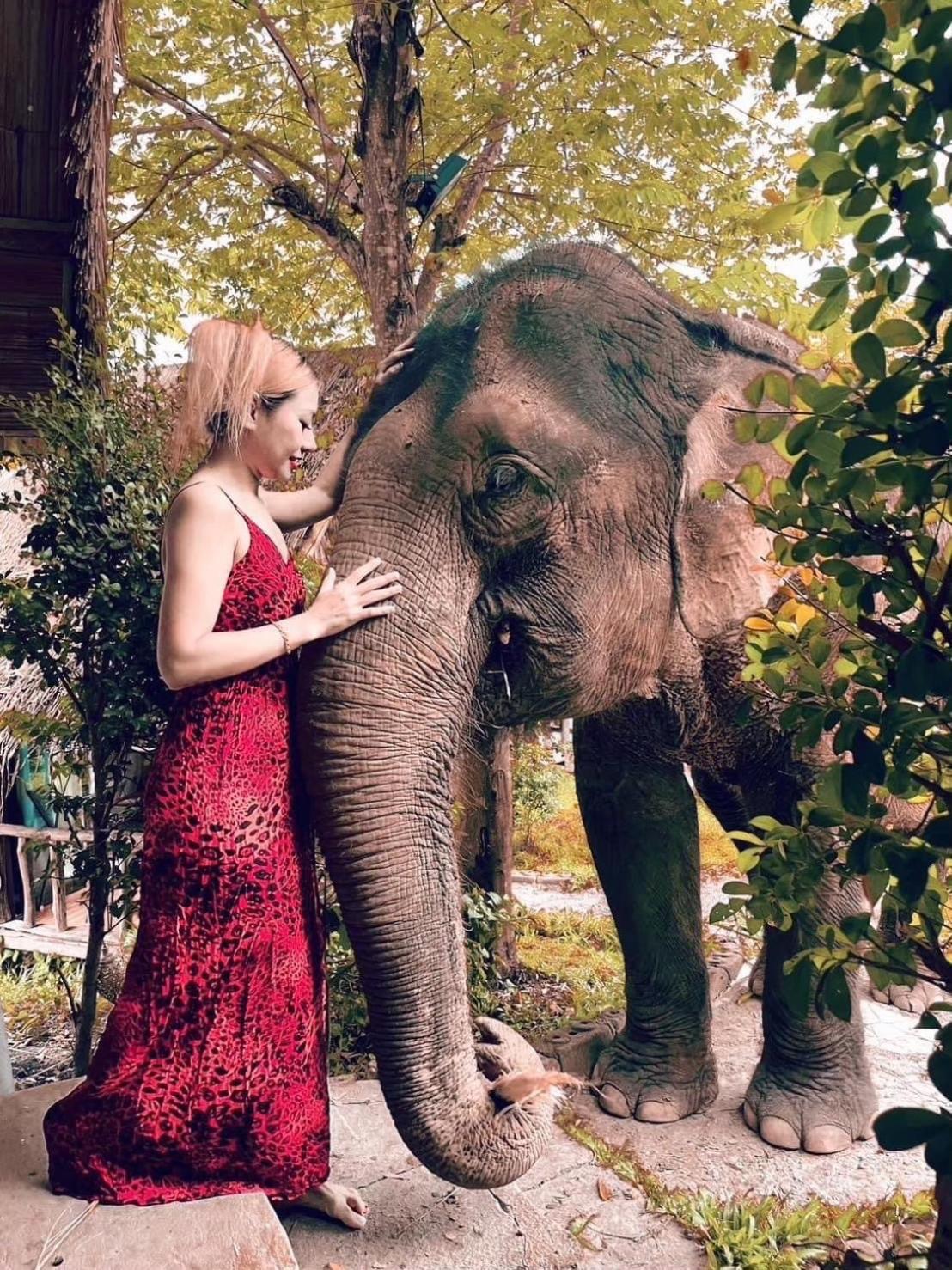 3 Pok Maewang Jinxiang Gold Elephant Park Mae Wang Luaran gambar
