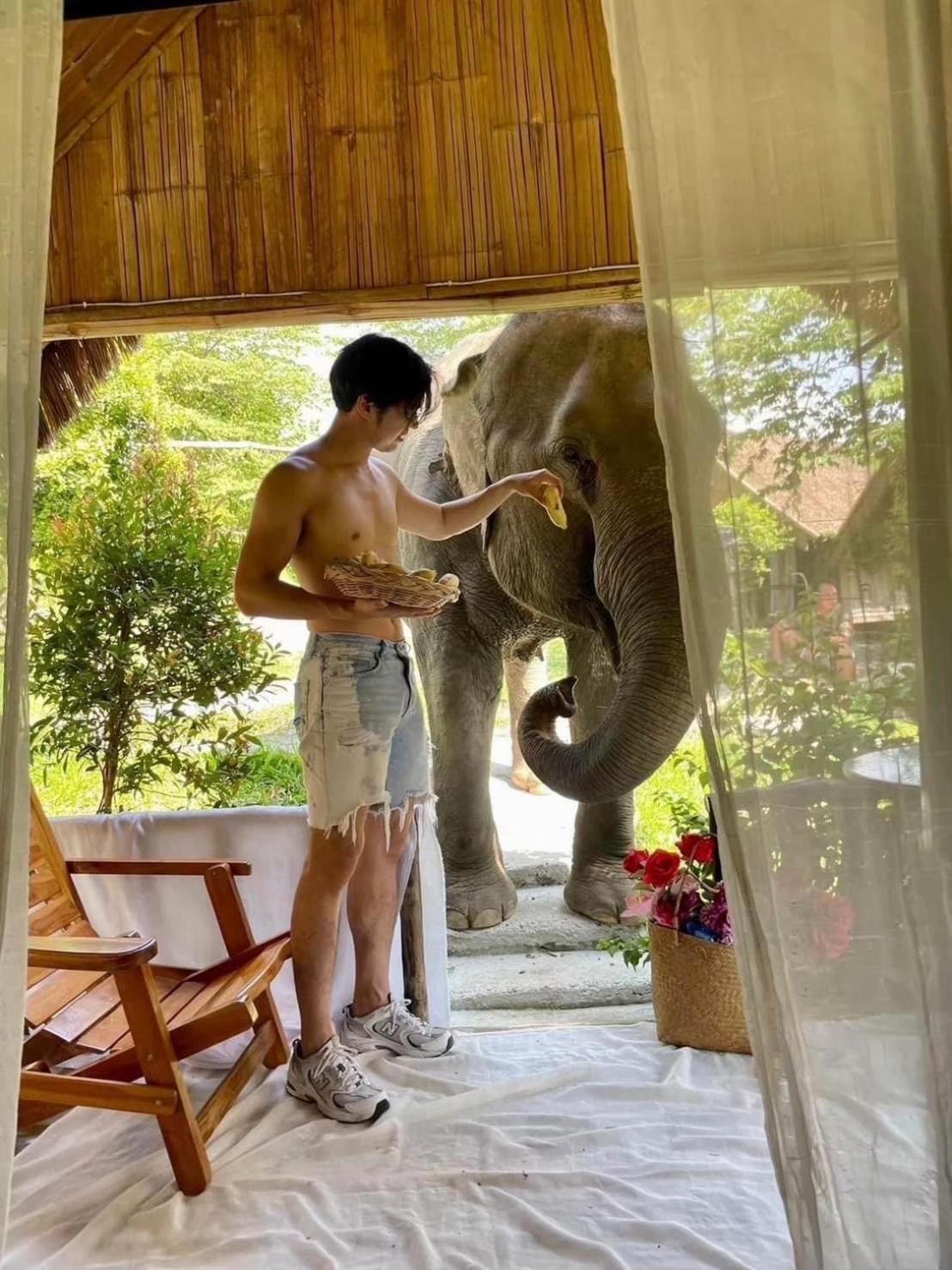 3 Pok Maewang Jinxiang Gold Elephant Park Mae Wang Luaran gambar