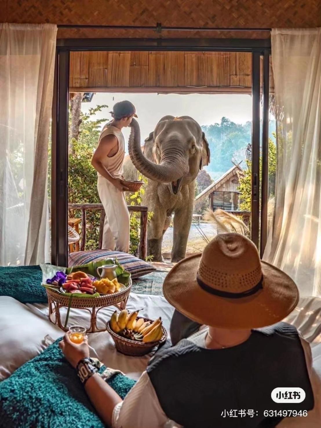 3 Pok Maewang Jinxiang Gold Elephant Park Mae Wang Luaran gambar