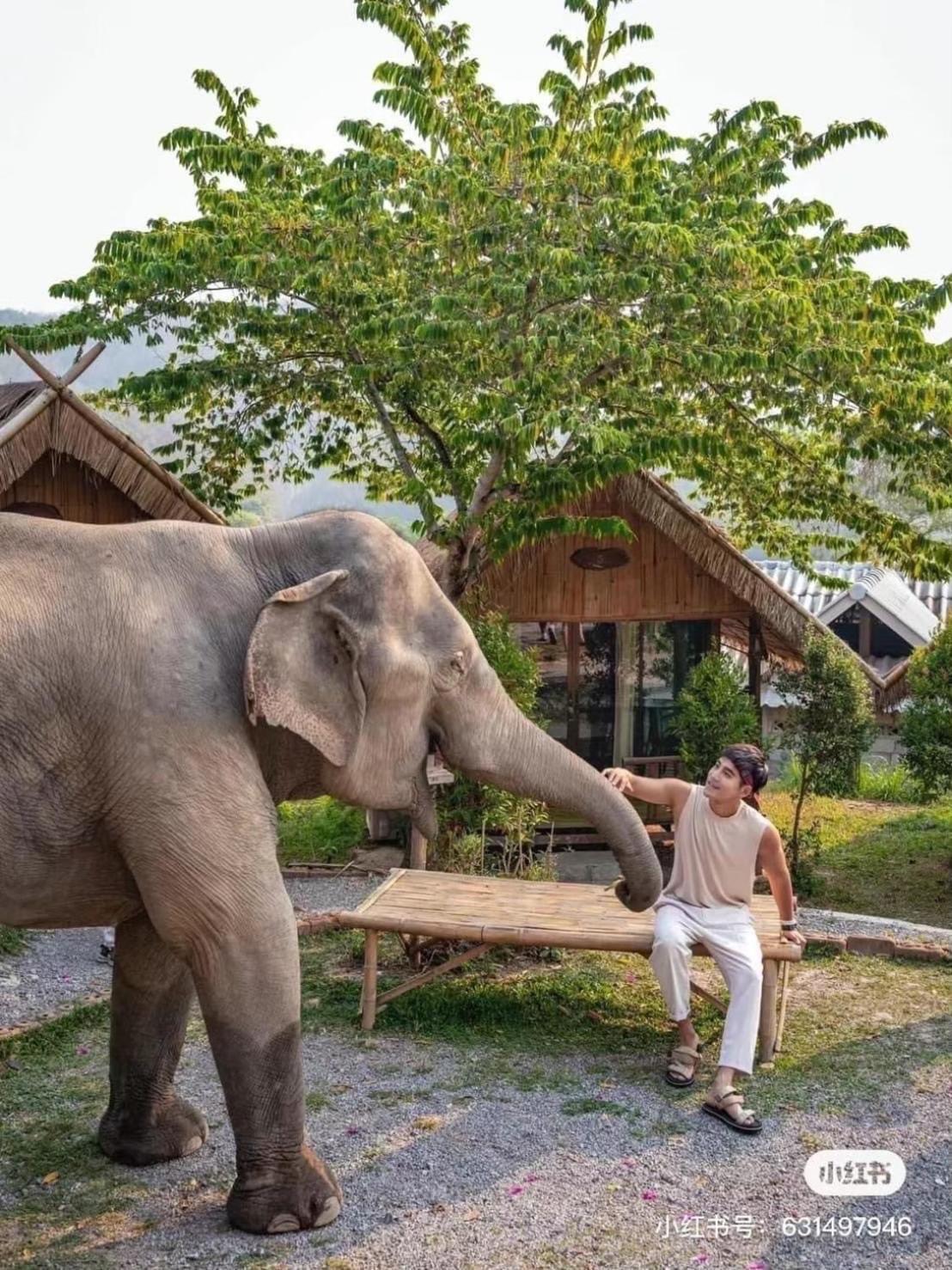 3 Pok Maewang Jinxiang Gold Elephant Park Mae Wang Luaran gambar