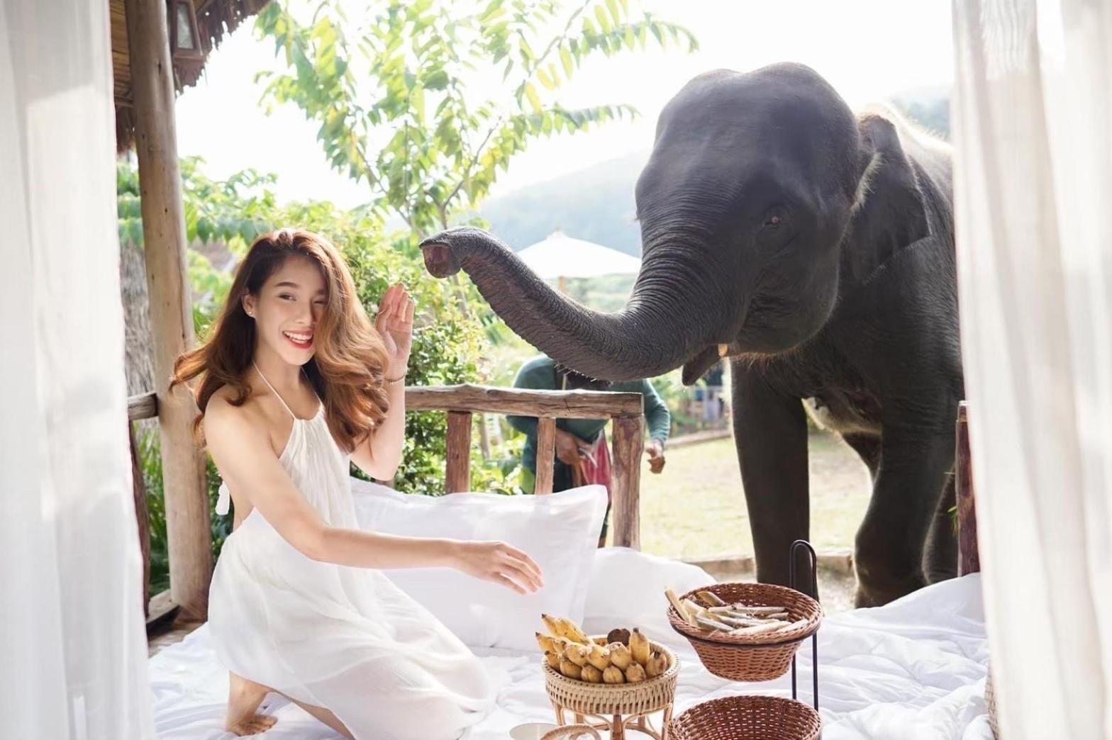 3 Pok Maewang Jinxiang Gold Elephant Park Mae Wang Luaran gambar