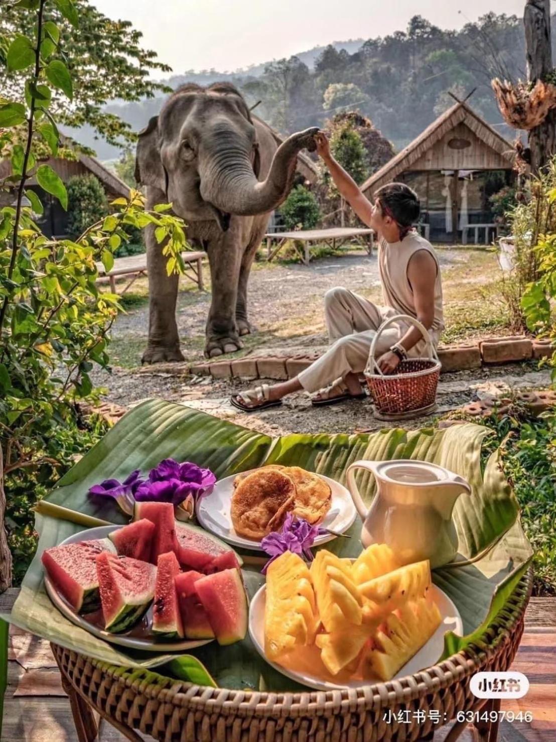 3 Pok Maewang Jinxiang Gold Elephant Park Mae Wang Luaran gambar